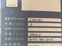 -申普宠物医院·心脏介入·心血管微创(总院)