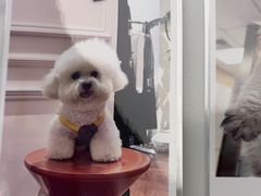 -瑞派康怡24h宠物医院·犬猫医疗中心·微创绝育(瑞景分院)