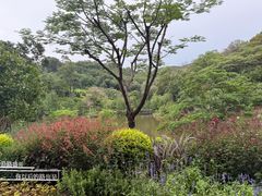 -云溪植物园