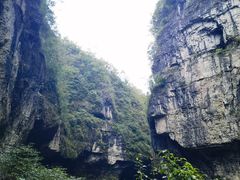 -鹿院坪生态旅游景区
