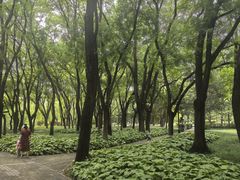 -玲珑塔公园