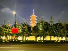 -龙华素斋(龙华路店)