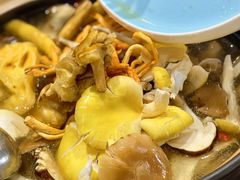 -菌之家·专业纯野生菌火锅·特色炒菌
