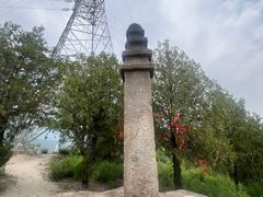 -白水寺森林公园