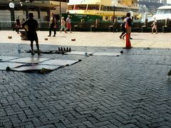 -悉尼海港大桥