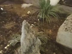 -绿茶餐厅(昆明世纪金源店)