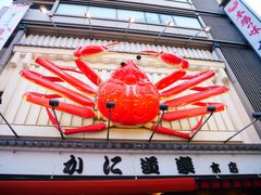 -蟹道乐(道顿堀本店)