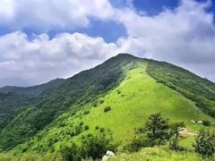 -终南山国家森林公园