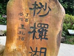 -深圳仙湖植物园