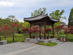 -莲花池公园