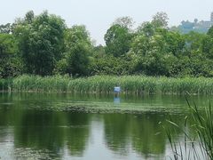 -山水间小院