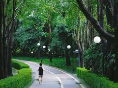 -荔香公园