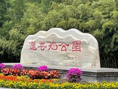 -莲花池公园