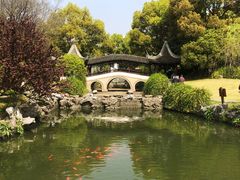 -苏州吴宫泛太平洋酒店