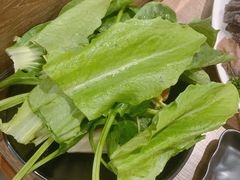 -新辣道鱼火锅(世纪金源购物中心店)