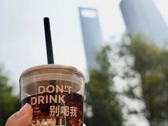 -陆家嘴中心绿地