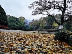 -灵谷景区