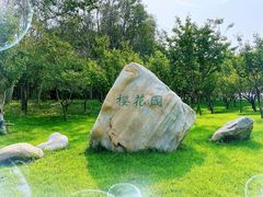 -塘沽森林公园
