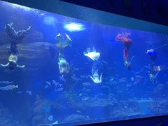 -多彩贵州城极地海洋世界