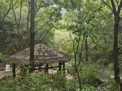 -九龙潭景区