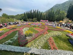 -深圳仙湖植物园
