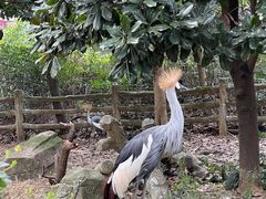 -杭州野生动物世界