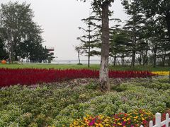 -在海一方公园