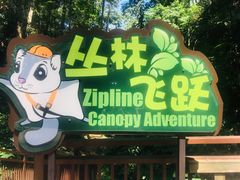 -西双版纳原始森林公园