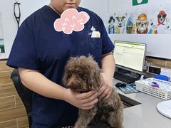 -爱侣宠医·鹦鹉专科·小型哺乳类·异宠专科(灵石路店)