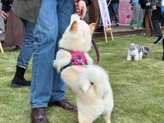 -上海神旺大酒店