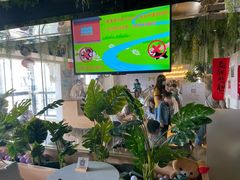 大堂-Husky Go! 哈士奇体验馆·宠物咖啡厅狗咖