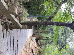 -草庵摩尼教遗址公园