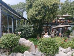 -蘇河湾·新鲁菜·泰山宴(泰山店)