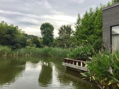 -天目湖涵田半山温泉