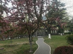 -北京化工大学(东校区)