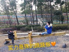 -江南天池