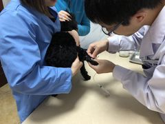 -宠颐生贝利健动物医院(谢家湾分院)