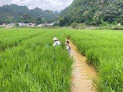 -万峰林风景区