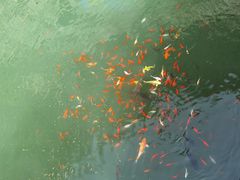 -十渡东湖港风景区