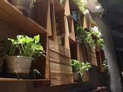 -比格比萨自助(花园路店)