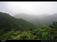 -四明山国家森林公园