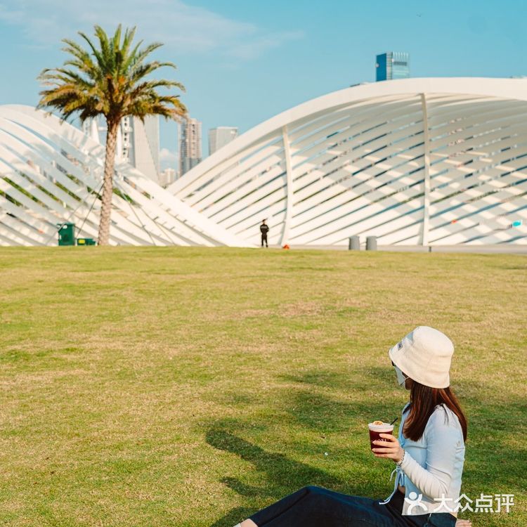 深圳海边露营咖啡🌉•摩天轮下吹浪漫海风🌊