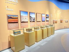 -恩格贝生态旅游区