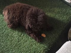 -赢吧Bliss音乐酒吧