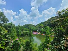 -广州市帽峰山景区