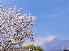 -庐山风景名胜区