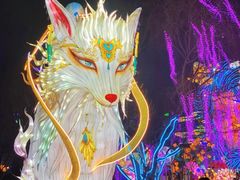 -淄博花灯齐彩城