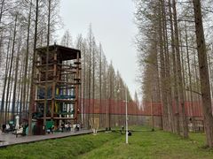 -黄海国家森林公园