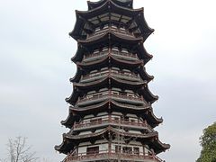 -洋湖国家湿地公园