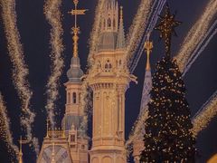 -大鸭梨烤鸭(枣园店)